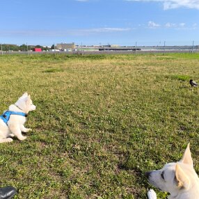 IMG_20240705_085544