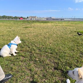 IMG_20240705_085550
