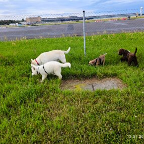 IMG_20240712_173852_1