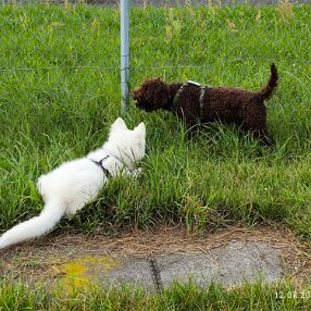 IMG_20240712_173911