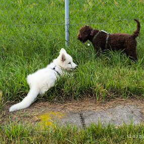 IMG_20240712_173915