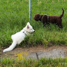 IMG_20240712_173916