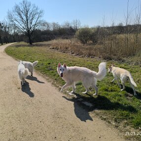 2025-03-21 001 016
