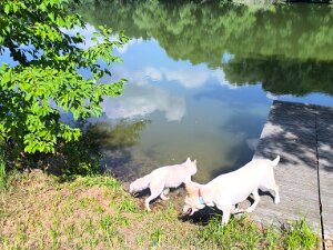Erholung nahe Trebbin