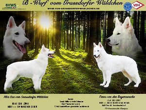 Meine Eltern