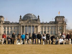Hier bin ich dabei Hinweis: Sie werden in ein paar Sekunden zur Community der weißen Schäferhunde weitergeleitet. Dort finden Sie mich bei...
