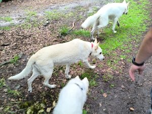 Treffen mit